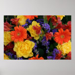 Gerbera Rose Bouquet, S Cyr Print