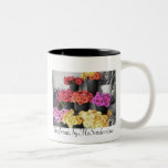 Gerberas, by MzSardonicus Mug