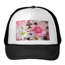 Gerberas & Chrysanthemums Mesh Hats