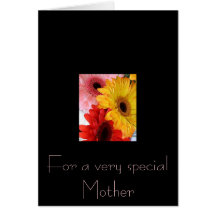 gerberas galore greeting card