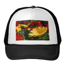 Gerbers magnifique casquettes de camionneur