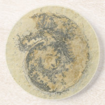 German Ammonite with Dendrites Drink Coasters