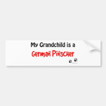 German Pinscher Grandchild Bumper Sticker