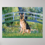 German Shepherd 11   -  Lily Pond Bridge Poster