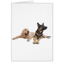 german shepherd and golden retriever cartes de vœux
