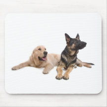 german shepherd and golden retriever tapis de souris