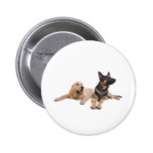 german shepherd and golden retriever pin's