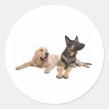german shepherd and golden retriever autocollant rond