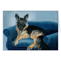 German Shepherd Angus Cards