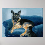 German Shepherd Angus Posters