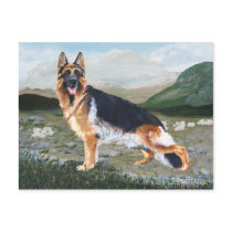 German Shepherd at Work Post Card