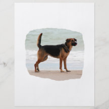 German Shepherd beach stand tongue out Custom Flyer