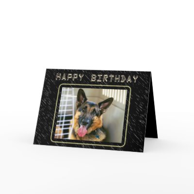 German Shepherd Birthday Card by LivingLife