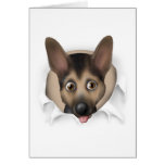 German Shepherd Busting Out Card