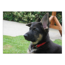 German Shepherd Card