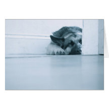 German Shepherd Card