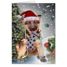 German Shepherd Christmas Lights Cards