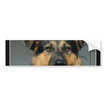 German Shepherd Dog Bumper Sticker