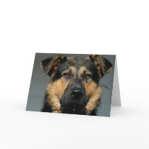 German Shepherd Dog Greeting Card