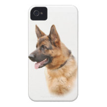 German shepherd dog iPhone 4 covers