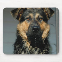 German Shepherd Dog Mouse Pad