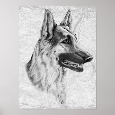 German Shepherd Dog Print by Felidae52
