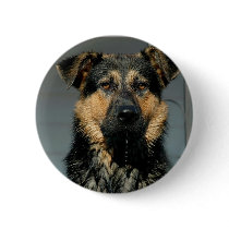 German Shepherd Dog Round Button