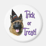 German Shepherd Dog (sable) Trick Refrigerator Magnets