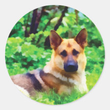German Shepherd Dog Sticker