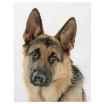 German Shepherd Personalized Flyer