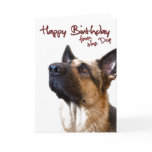 German Shepherd fromthedog1 Greeting Card