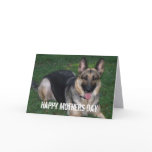 German Shepherd: Mothers Day Card