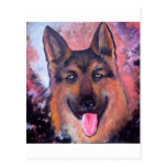 German shepherd Original Art Post Card