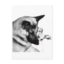 German Shepherd Post Card