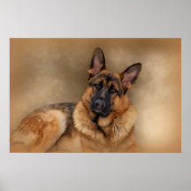 German Shepherd Poster
