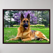 German-Shepherd Print