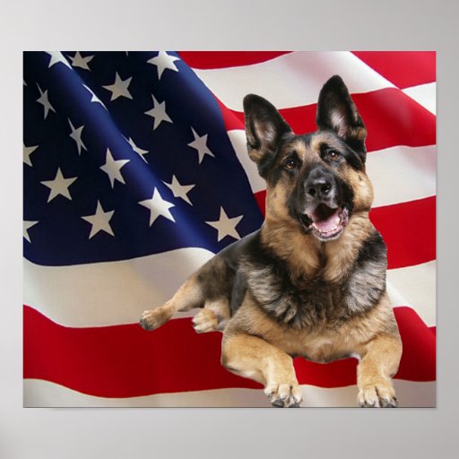 German Shepherd Print