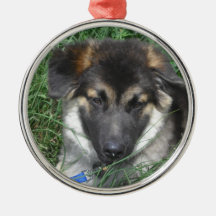 German Shepherd Pup Ornament
