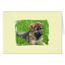 German Shepherd Puppy Cards