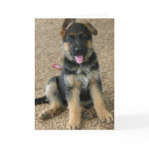 German Shepherd Puppy Greeting Card