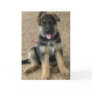 German Shepherd Puppy Greeting Card