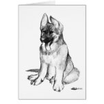 German Shepherd Puppy Greeting Cards