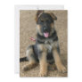 German Shepherd Puppy Invitation