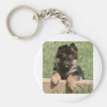 German Shepherd Puppy Key Chains