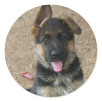 German Shepherd Puppy Sticker