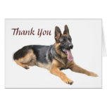 German Shepherd Thank You Card