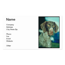 German Shorthair Pointer Business Card