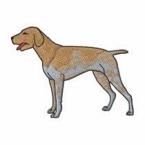 German Shorthair Pointer