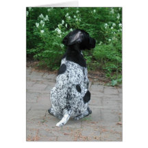 German Shorthair Pointer Puppy Card