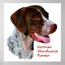 German Shorthaired Pointer Art Print